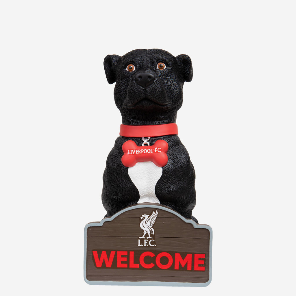 Liverpool fc 2025 dog collar