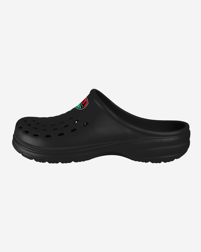 Cork City FC Solid Clog FOCO S - FOCO.com | UK & IRE