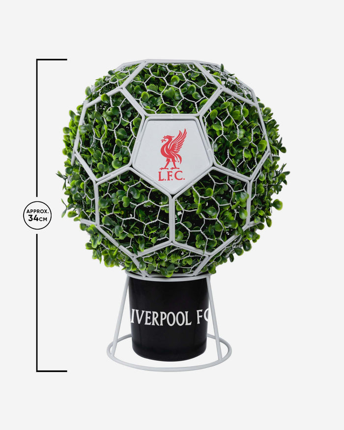 Liverpool FC Ball Topiary Frame With Leaves FOCO - FOCO.com | UK & IRE