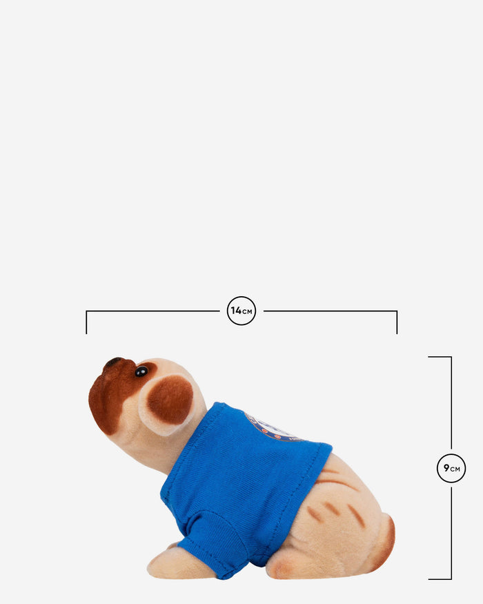 Chelsea FC Nodding Dog FOCO - FOCO.com | UK & IRE