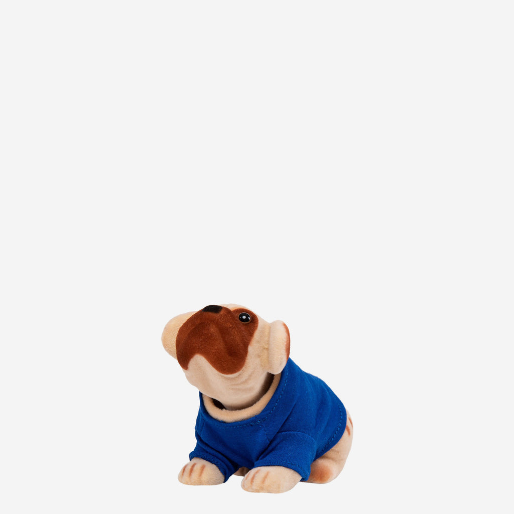 Everton FC Nodding Dog FOCO - FOCO.com | UK & IRE