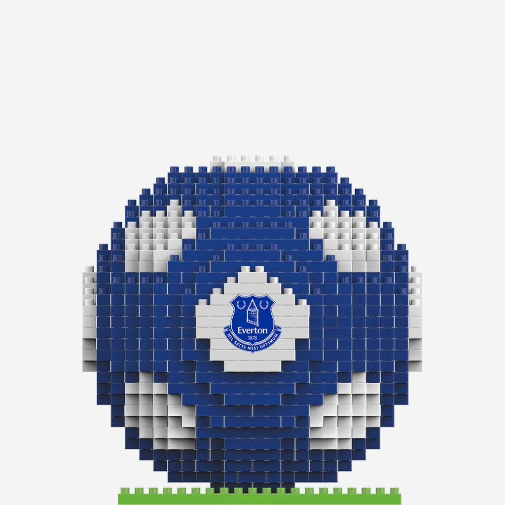 Everton discount lego football