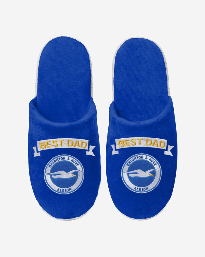 Brighton & Hove Albion FC Best Dad Slippers FOCO - FOCO.com | UK & IRE
