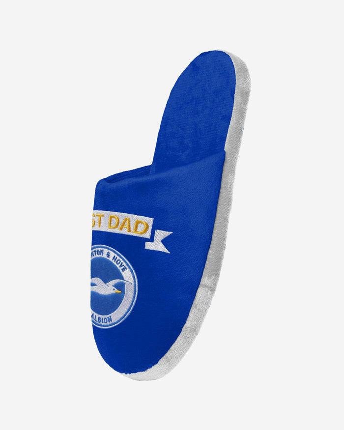 Brighton & Hove Albion FC Best Dad Slippers FOCO - FOCO.com | UK & IRE