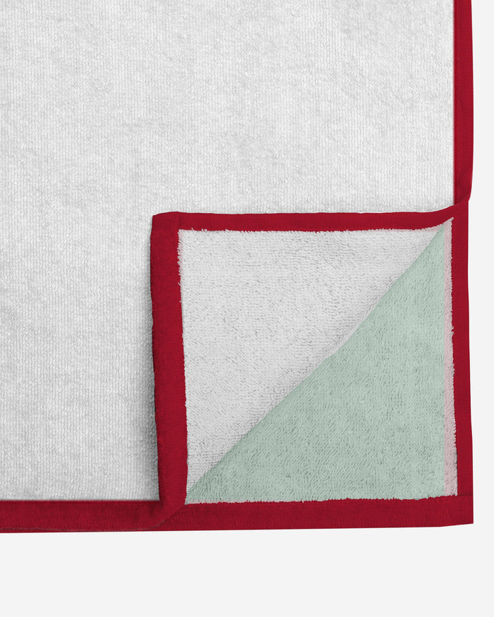 British & Irish Lions Towel FOCO - FOCO.com | UK & IRE