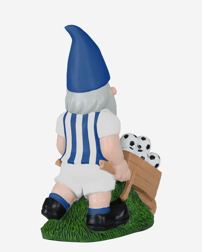 Brighton & Hove Albion FC Wheelbarrow Gnome FOCO - FOCO.com | UK & IRE