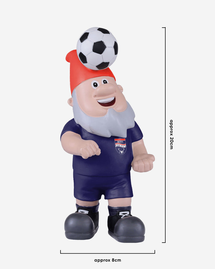 Ross County FC Header Ball Gnome FOCO - FOCO.com | UK & IRE
