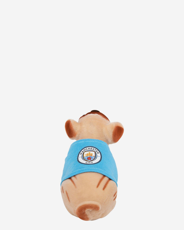 Manchester City FC Nodding Dog FOCO - FOCO.com | UK & IRE